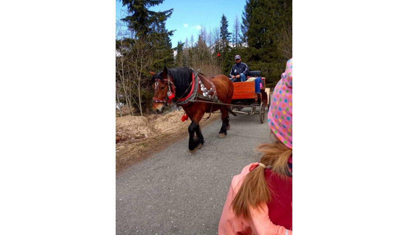 Hotel CROCUS **** Vysoké Tatry